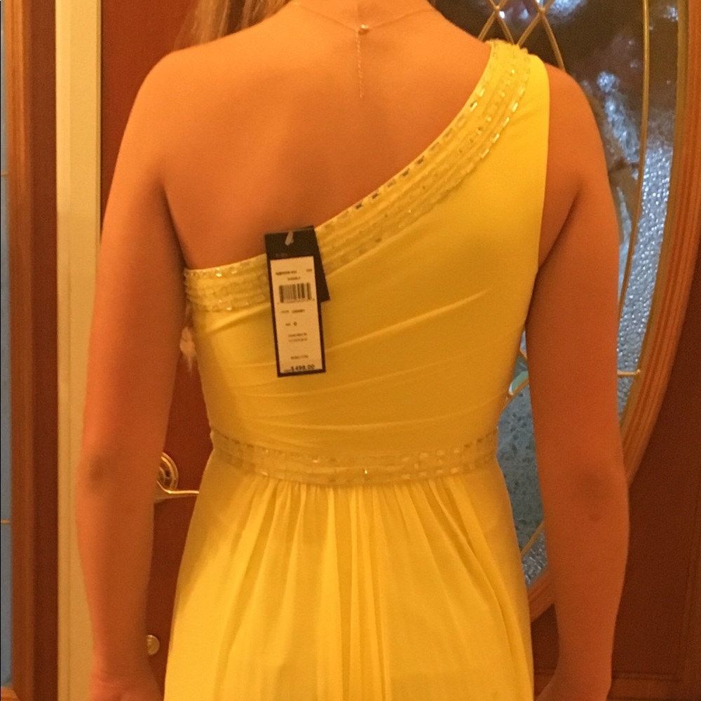 Stunning BCBG Daniele Formal Gown - Picture 5 of 6
